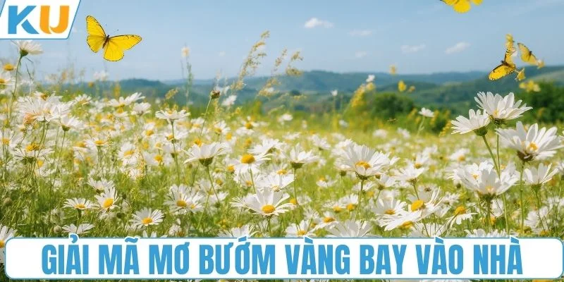 Giải mã mơ bướm vàng bay vào nhà