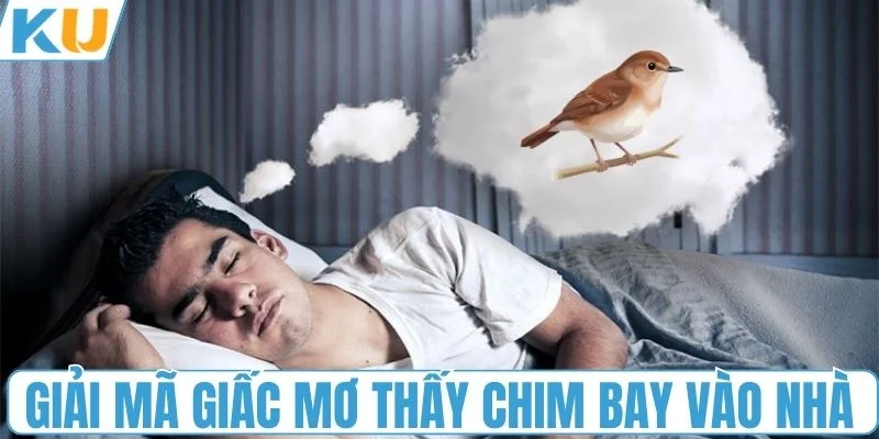Giải mã ý nghĩa giấc mơ thấy chim bay vào nhà