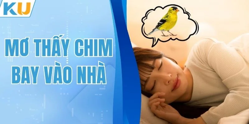 Giải Mã Mơ Thấy Chim Bay Vào Nhà Và Những Con Số Từ KUBET