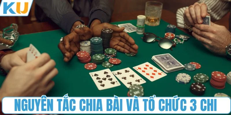 Nguyên tắc chia bài và tổ chức 3 chi