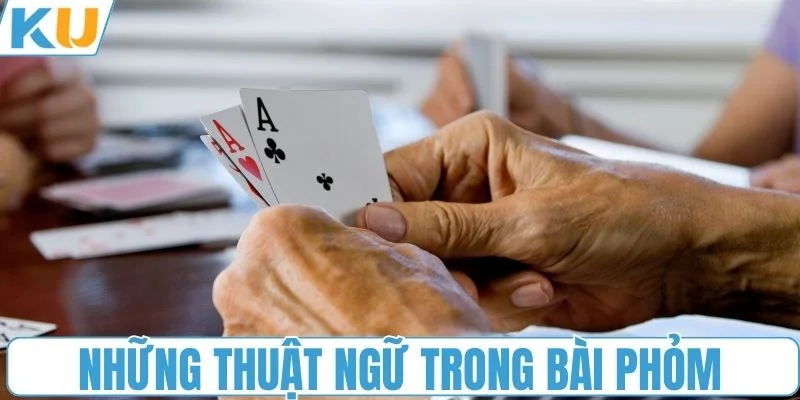 Những thuật ngữ thường gặp trong bài phỏm