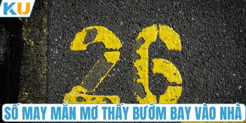 Số may mắn mơ thấy bướm bay vào nhà